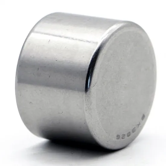 Needle Roller Bearing NK45/20 45x55x20mm Radial Bearing P0-P4 Precision for Industrial Machinery