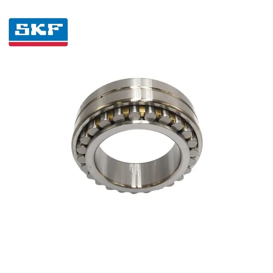 Double Row Cylindrical Roller Bearing NUP219 EC P for Vehicle Transmission Systems